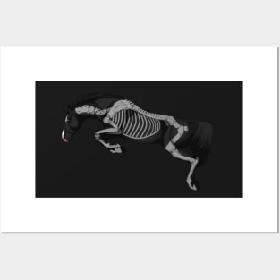 Jumping Skeleton Horse Posters and Art